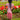 Rosé Reverie Dress - Elegant Girls Dress - Rehoboth Kidz