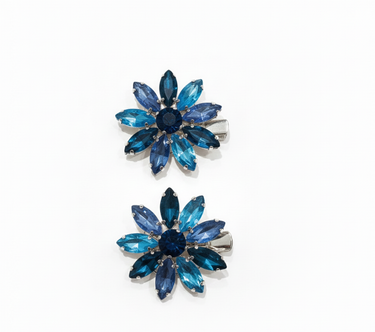 Blue Crystal Bloom Clips